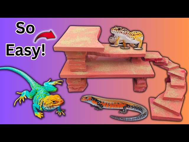 The ULTIMATE DIY Method For Reptile Backgrounds, Hides, Ledges, Rocks, & More!