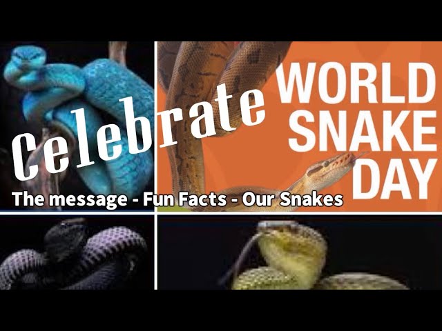 145- WORLD SNAKE DAY 🎉 7/16