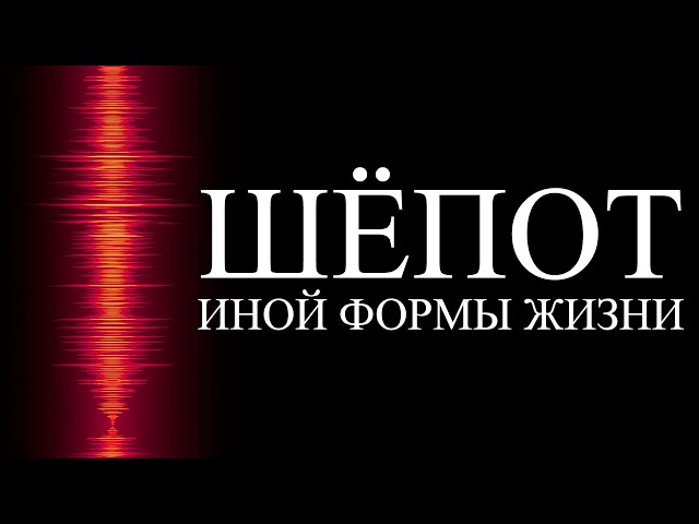 С нашей эволюцией что-то не так | ALI