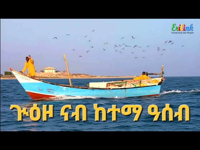 🇪🇷 A Journey to the City of Assab, Eritrea ጒዕዞ ናብ ከተማ ዓሰብ ኤርትራ December 21, 2025