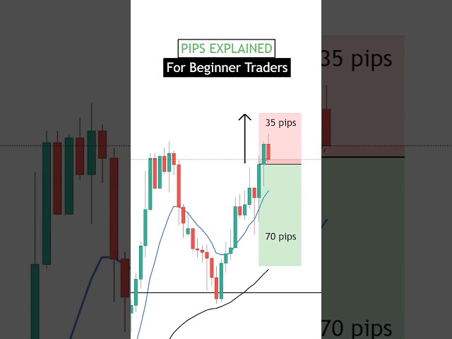 What Are Pips In Forex? (For Beginner Traders)