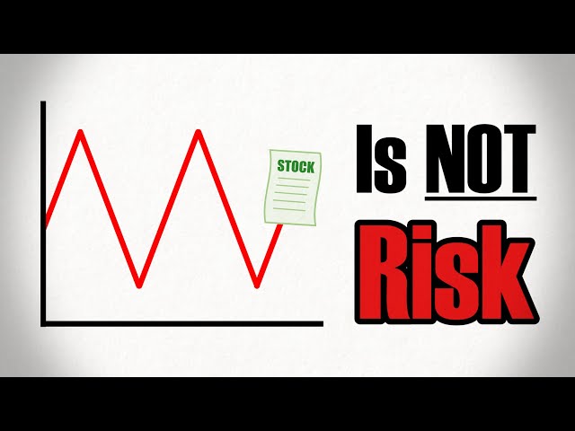 Why Price Volatility is NOT Risk