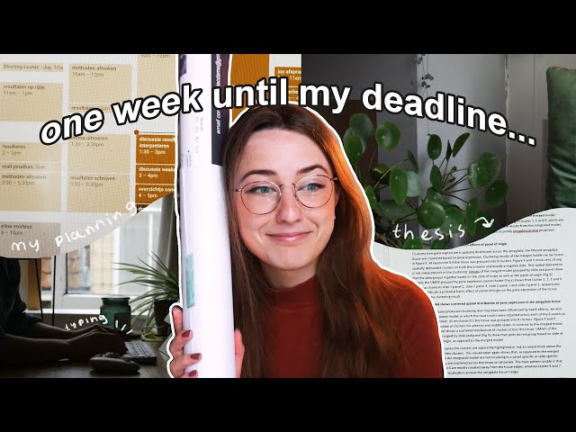 a week in my life finishing my thesis for harvard ☕