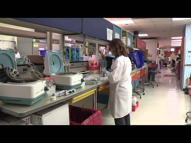 A day in the life of a pathology resident