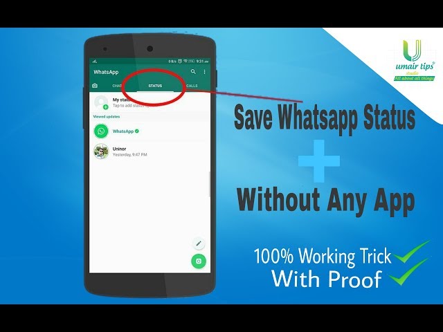 how to download whatsapp status Without any App | save Whatsapp status | umair tips studio