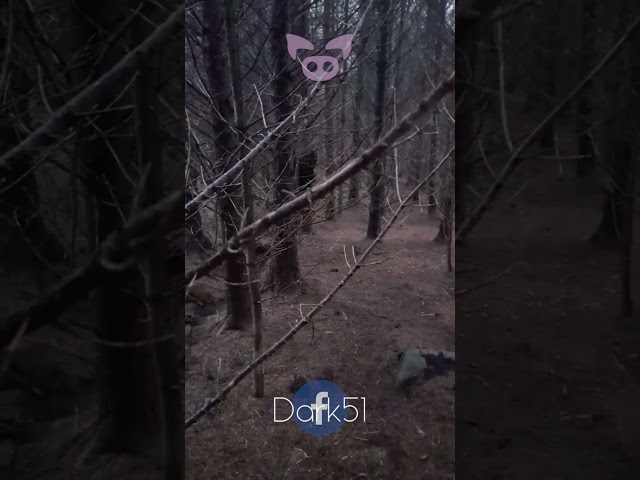 SCARY CREATURE Caught on Camera? #Shorts 👹📷