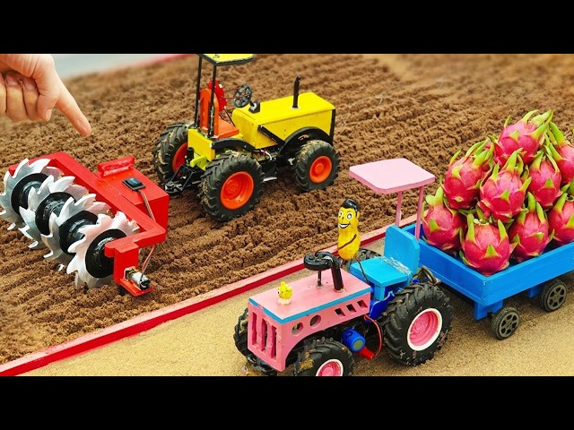 DIY Mini Tractor Harvesting Dragon Fruit With Amazing Tiller | Miniature Farming Project