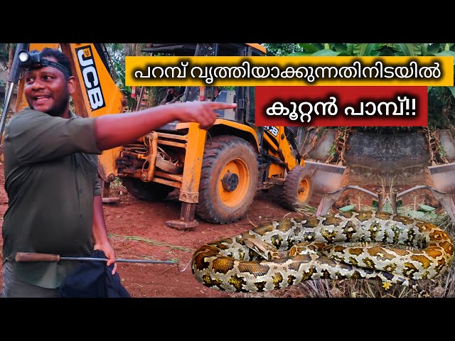 പറമ്പ് വൃത്തിയാക്കുന്നതിനിടെ കണ്ട കൂറ്റൻ പെരുമ്പാമ്പ്!!🔥🐍 SNAKE MANIAC | SNAKE | PYTHON | RESCUE
