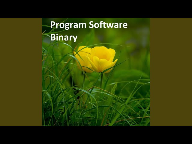 Program Software Binary