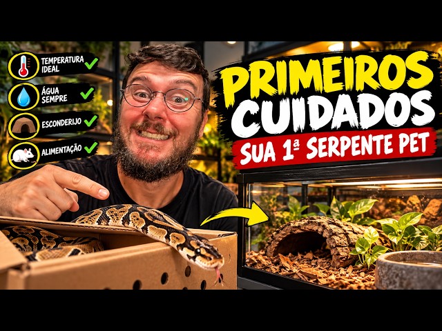 Primeiros Cuidados quando sua Serpente Pet Chegar #snake #pets #jiboia
