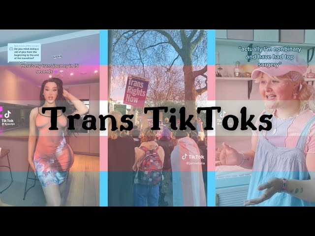 trans (including non-binary) tiktoks for all you lovely people
