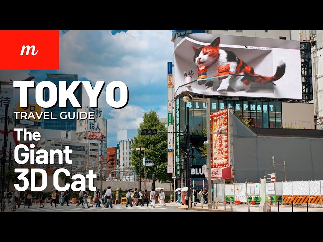 Tokyo's Giant 3D Cat: The Complete Guide for Travelers