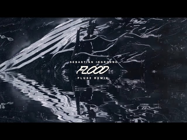 Sebastian Ingrosso - Flood (PLUS2 Remix)