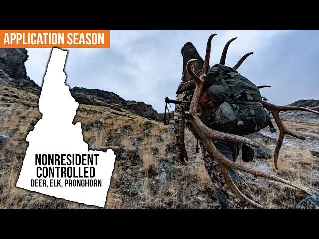 Idaho Controlled Hunts for Nonresidents | Deer, Elk & Antelope Application Guide