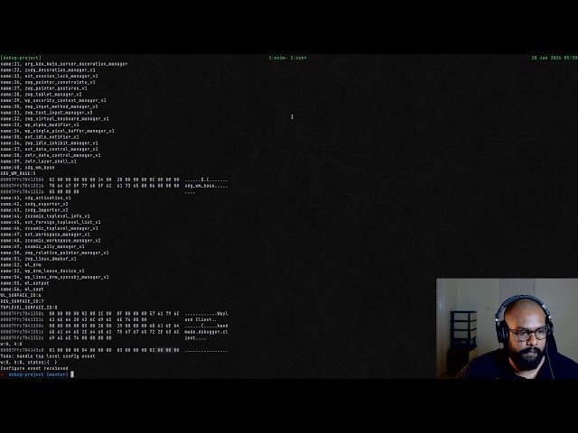 Building a debugger With Zig For Zig | Rendering skill issues with Wayland client