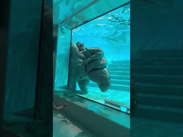 This aquarium is weird #cursed #ai