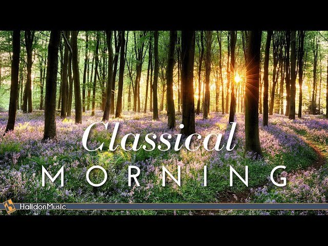 Mañana Clásica | Música Clásica Relajante y para el Buen Humor