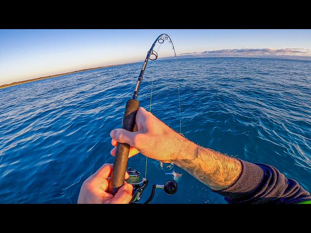 How To Catch Snapper, Step By Step how I catch Inshore Snapper