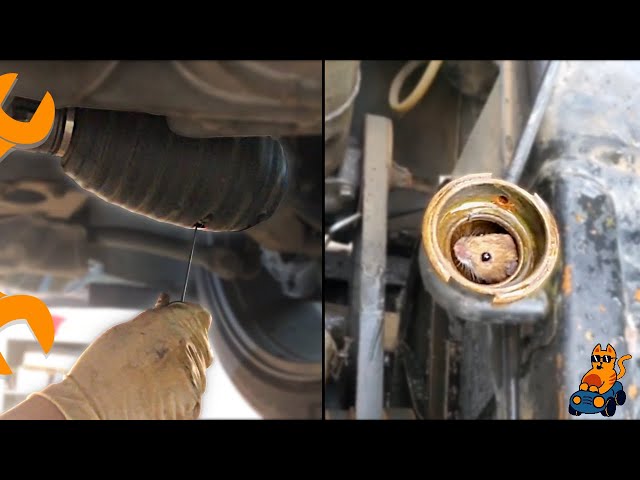 Customer States & Mechanical Problems Compilation [Part 32]