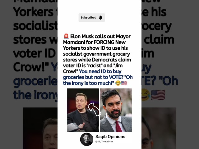 Elon Musk's ID Remarks Spark Voter ID Debate 🇺🇸