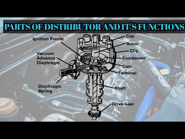 Parts Of Distributor And It's Functions