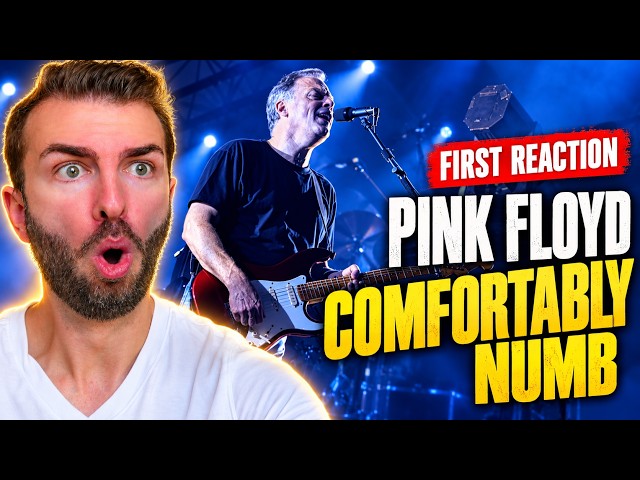 First Time Hearing | Pink Floyd - Comfortably Numb |
