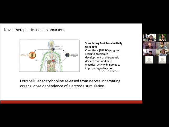 Cross-COS Colloquium: Nanosensors for Imaging the Chemistry of the Body