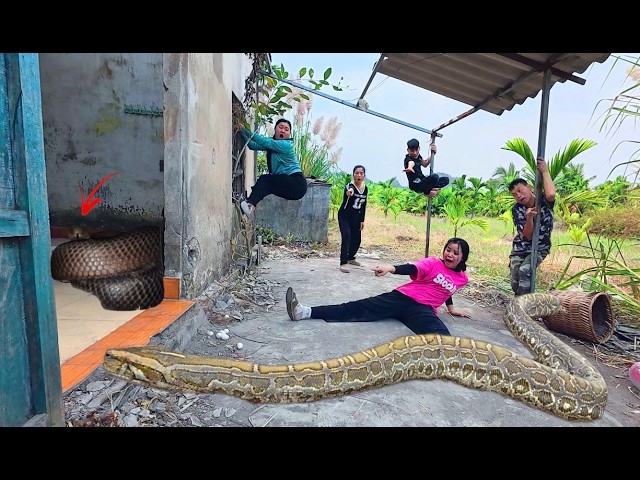 brave hunters rescue girl attacked by giant pythons in an abandoned house