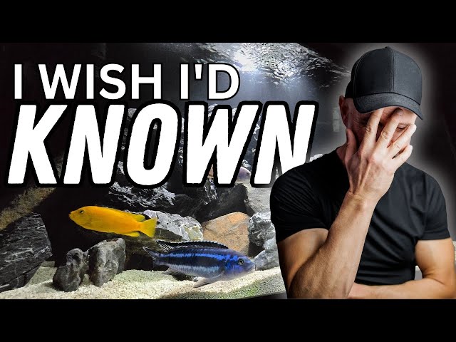If Only I'd KNOWN THIS Before I Started Keeping African Cichlids