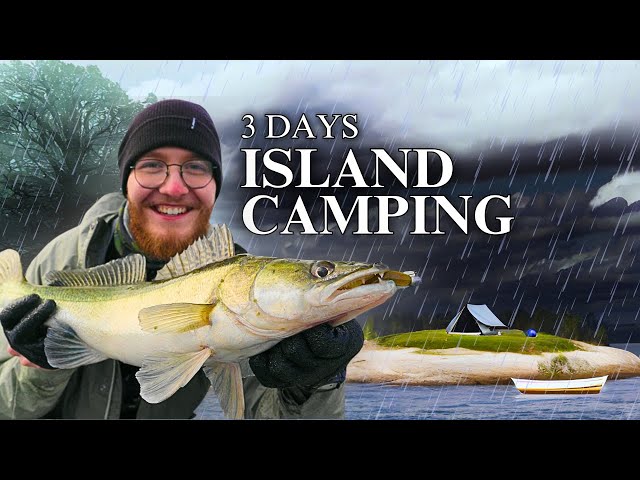 3 DAYS sleeping on ISLANDS and fishing ZANDER [Catch & Cook]