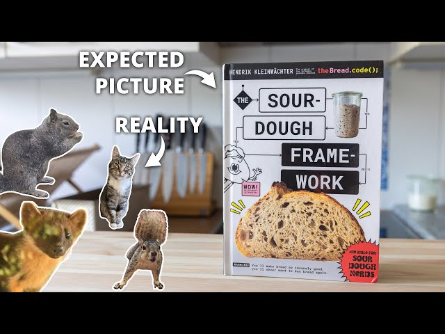 Thanks to You I am now a Squirrel Expert (the most random raffle)