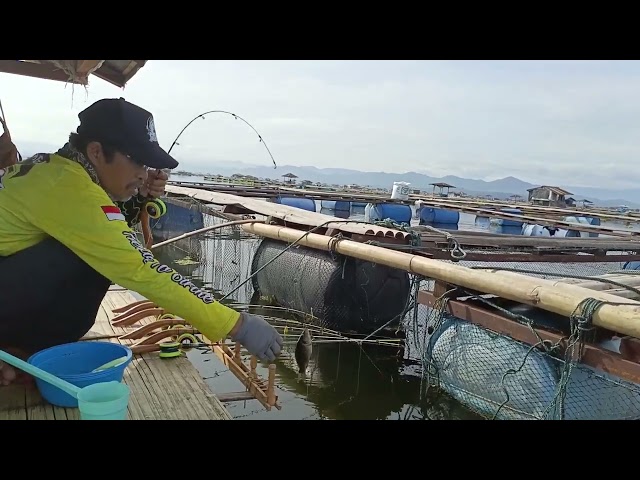 West Java fishing culture does not exist in America