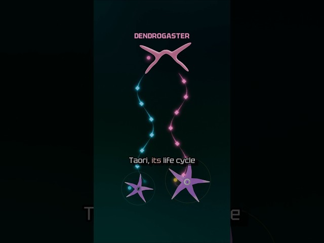 A starfish, parasite, and a genetic algorithm walk into a bar... #indiegame