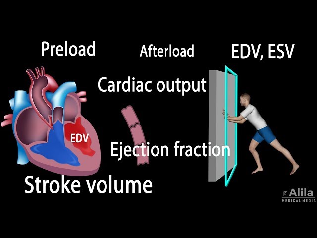 Cardiac Output, Stroke volume, EDV, ESV, Ejection Fraction