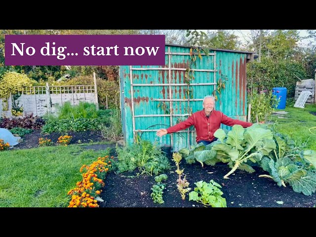 Make Your First No Dig Bed | Start Growing Your Own Food | No Dig Day 2025
