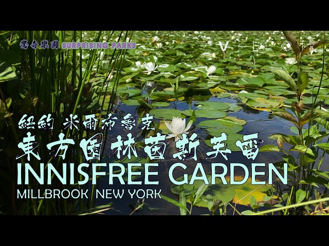 Eastern Culture Garden in Upstate NY Innisfree Garden|Surprising parks|2021|Mobile phone 4k video