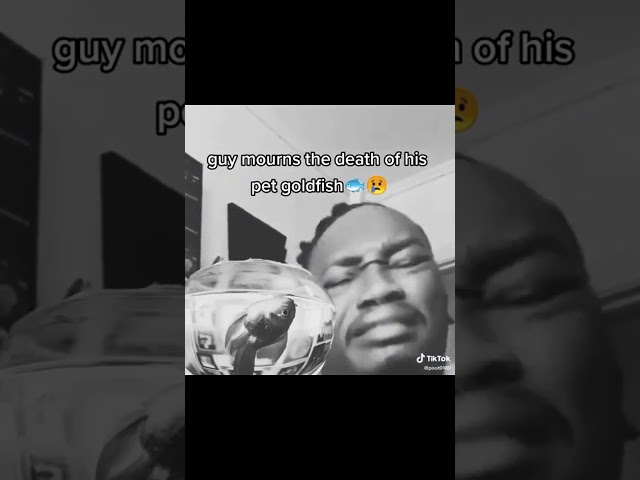 You laugh you lose | challenge - 8 💀 (impossible) #memes #trynottolaugh #funny #shorts