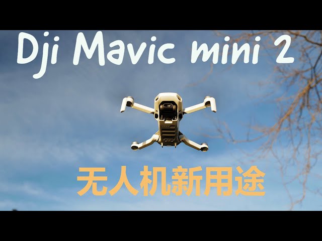 [HDR] DJI mavic mini 2 追逐太阳？ 拍日落？ 赶鸭子？  2021 无人机新用途！ | DJI mavic mini 2 new usage