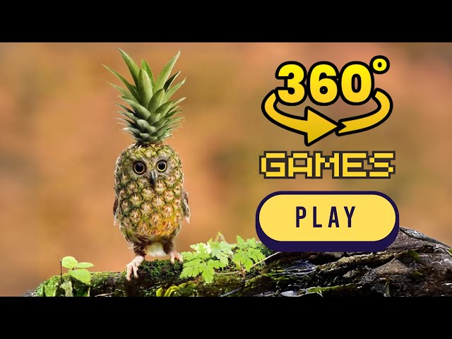 Pineapple Owl | Finding Challenge 360° - Pineapple owl tiktok memes