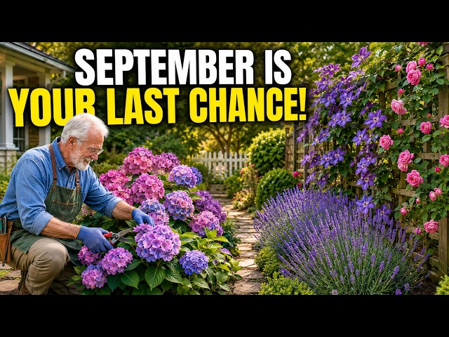 September Is Your LAST Chance to Prune These 7 Plants Before You Ruin Next Year’s Blooms