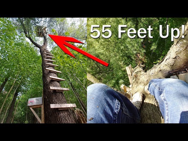 Crazy 55FT High Treehouse Deep In The Woods (4K)
