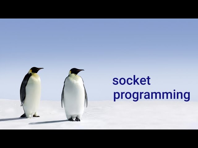 Socket programming in C