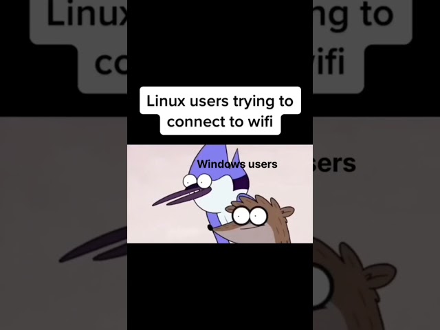 Arch Linux User & a Wifi #linux #foss #linuxdistros #funny #memes #software #gentoo #linuxworld