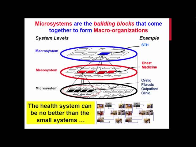 Clinical Microsystems: An Overview