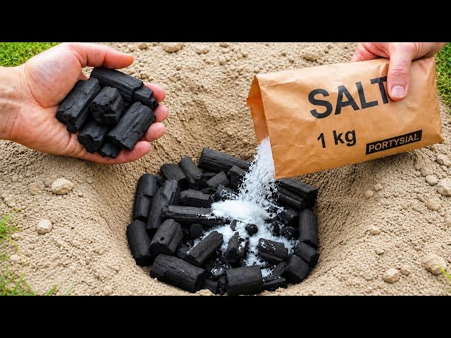 Mix salt and charcoal in a hole and see what happens! Millions of people don’t know this secret 😱