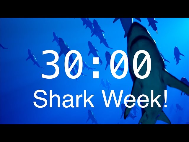 30 Minute Countdown Timer with Alarm | Relaxing Music | Shark Timer