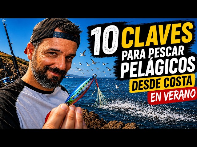 10 KEYS to Shore Fishing for PELAGICS in SUMMER