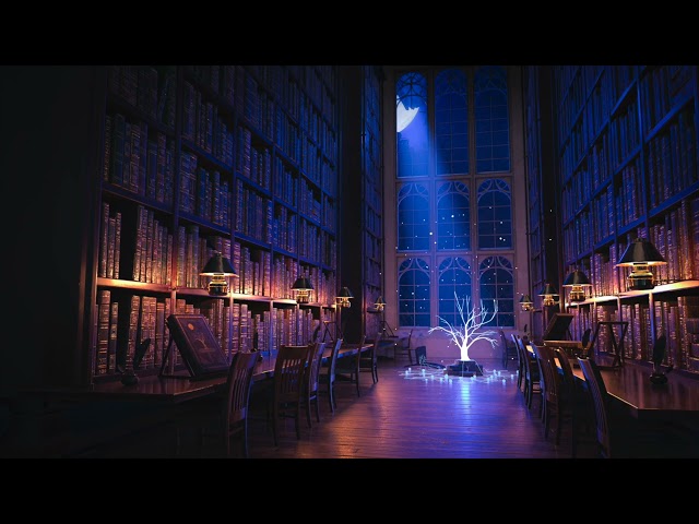 Enchanting Magic Library - Music & Ambience 📖🪄