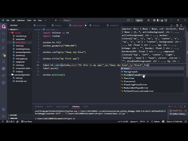 a window with python tkinter