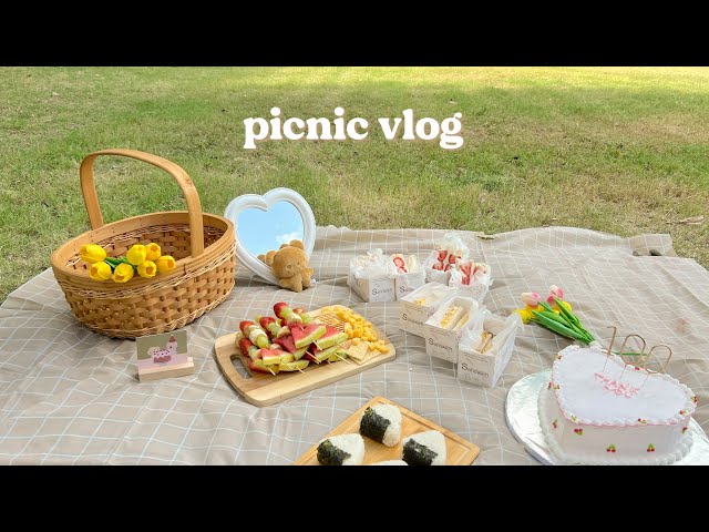 picnic vlog 🍙˚₊🧺haciendo lindas recetas de picnic, celebrando con amigos, últimos días de verano ♡